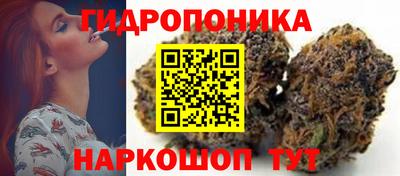 прущие грибы Ирбит