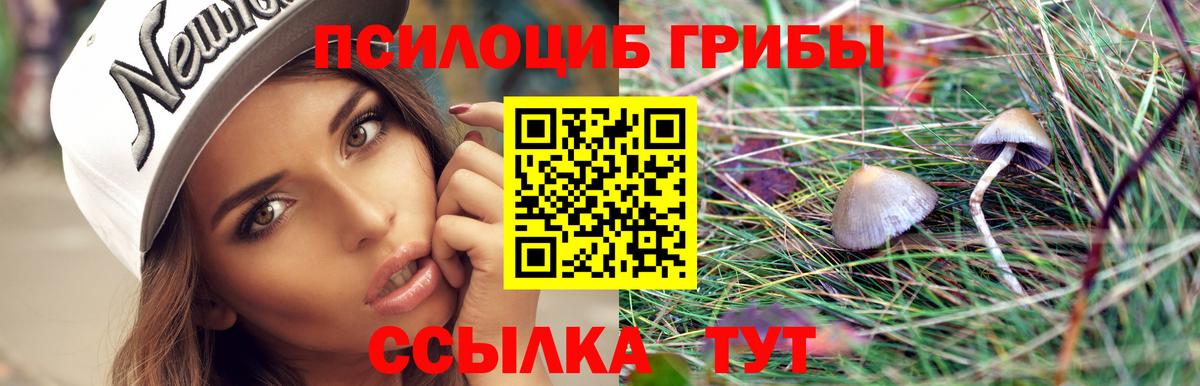 Псилоцибиновые грибы MAGIC MUSHROOMS  Вход с VPN  Кызыл 